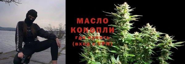 дмт Инта