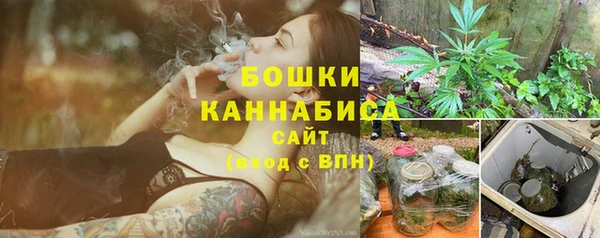 дмт Инта