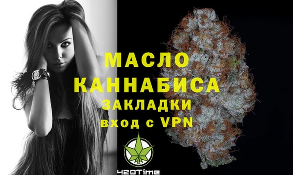дмт Инта