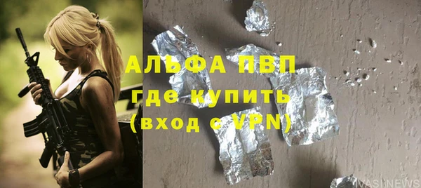 дмт Инта