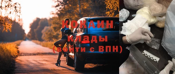 дмт Инта