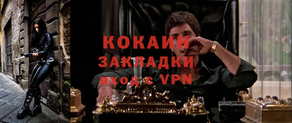 дмт Инта