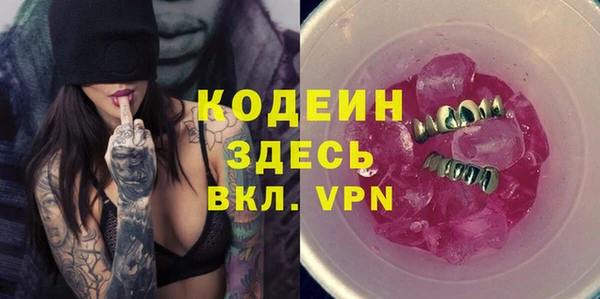 дмт Инта