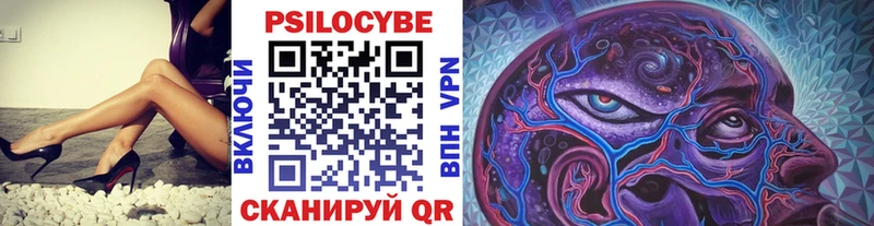 kraken   наркотики  Десногорск  Псилоцибиновые грибы ЛСД 